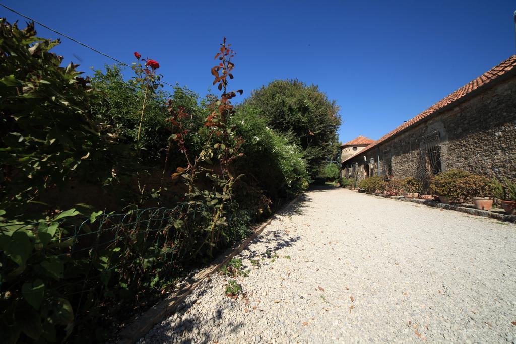 Azienda Agrituristica Seliano Paestum Buitenkant foto